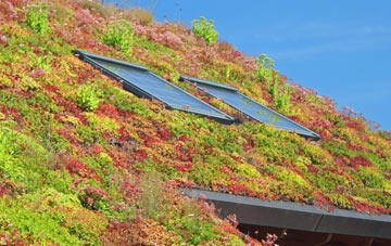Beaquoy living roof systems