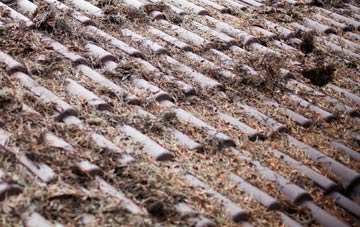 Beaquoy roof cleaning companies