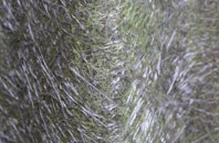 Beaquoy fibreglass roof work